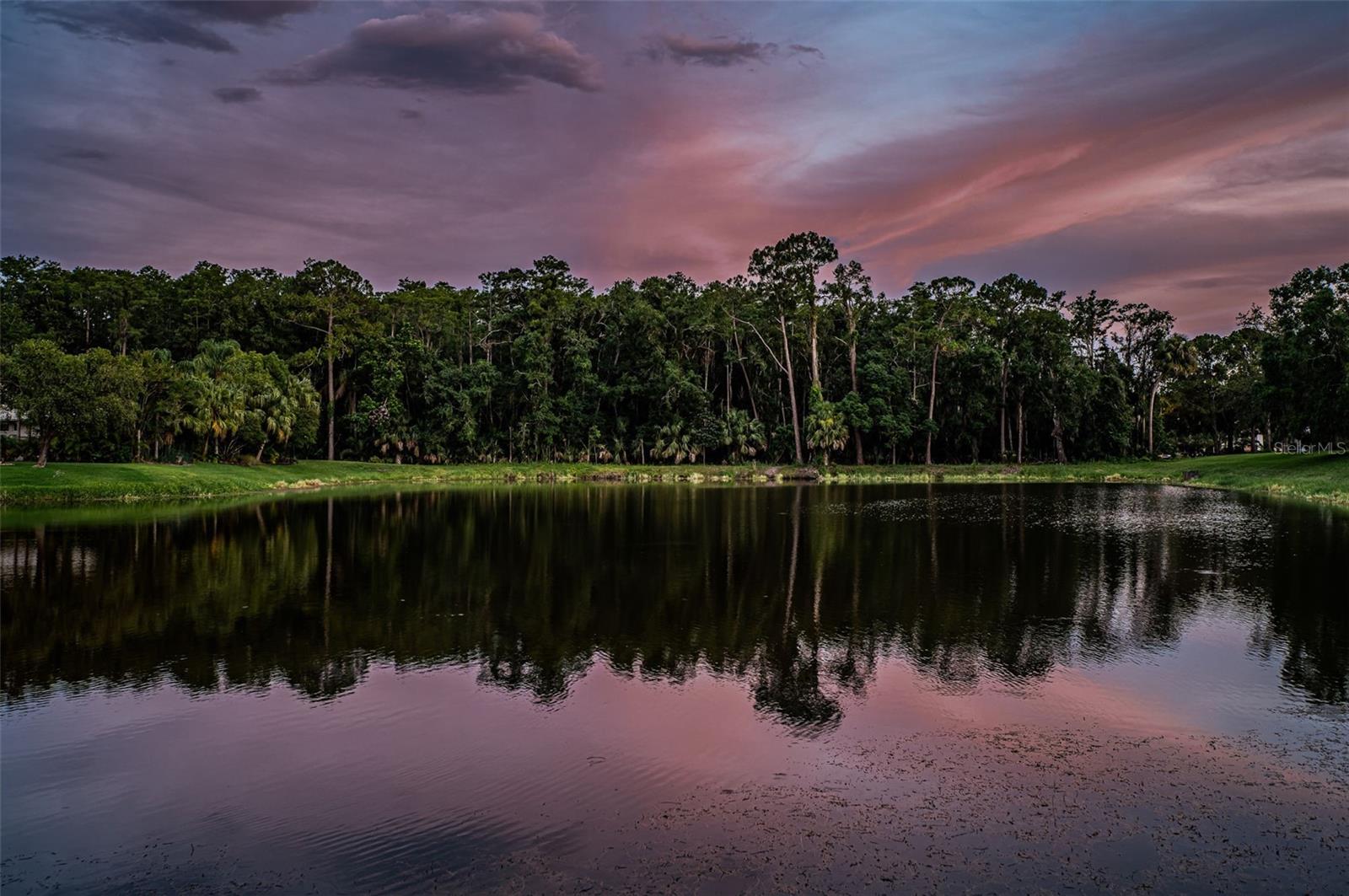 ABERDEEN UNIT TWO - Residential