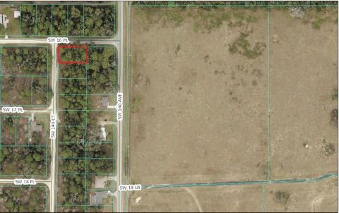 1665 SW 140TH COURT OCALA FL 34481