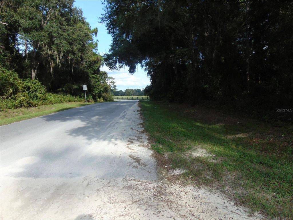 Photo of 1665 SW 140th Court, Ocala, FL 34481 (MLS # OM721628)