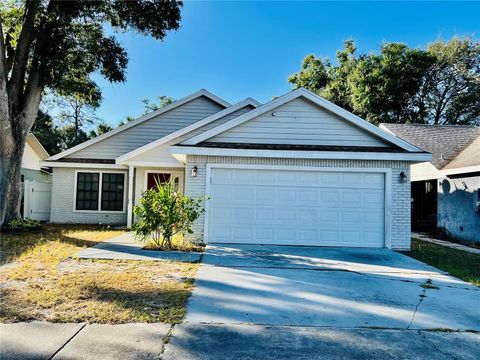 11337 MAYBROOK AVENUE RIVERVIEW FL 33569