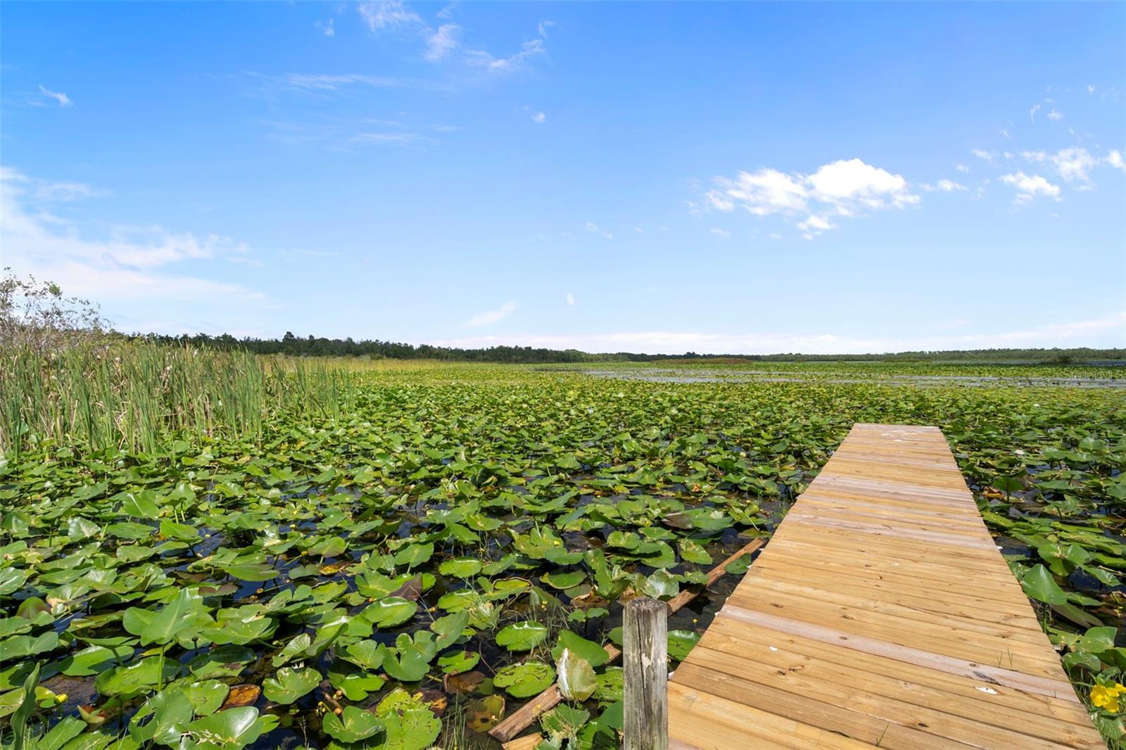 ACREAGE - Residential