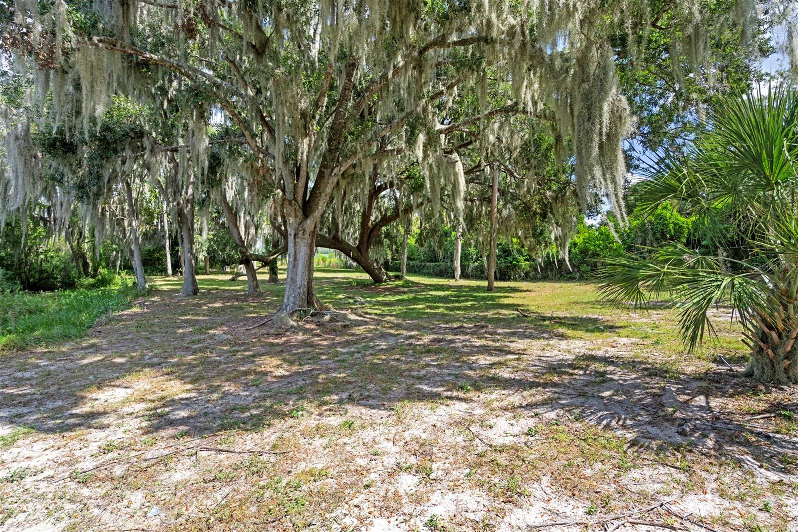 ACREAGE - Residential