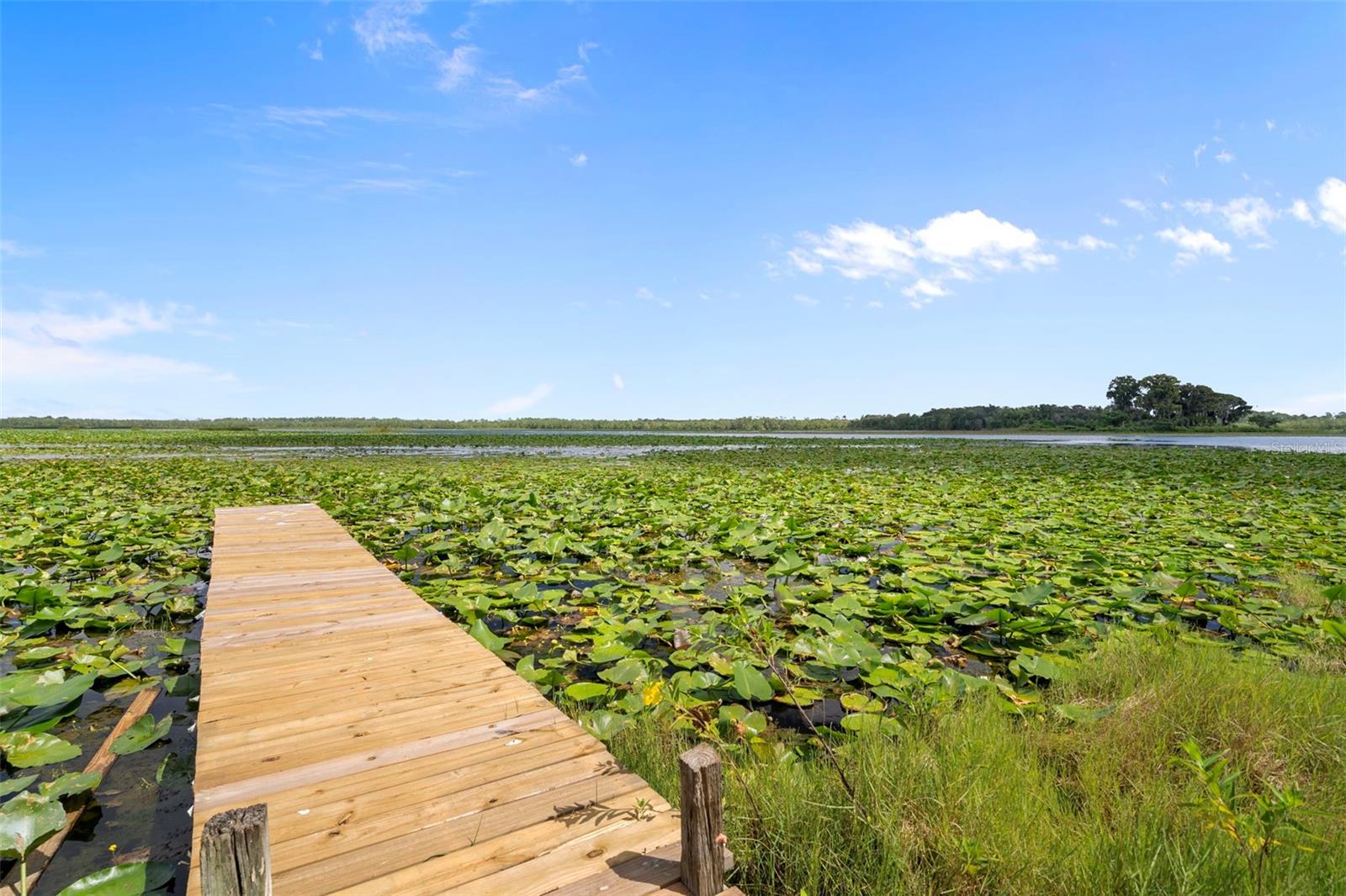 ACREAGE - Residential