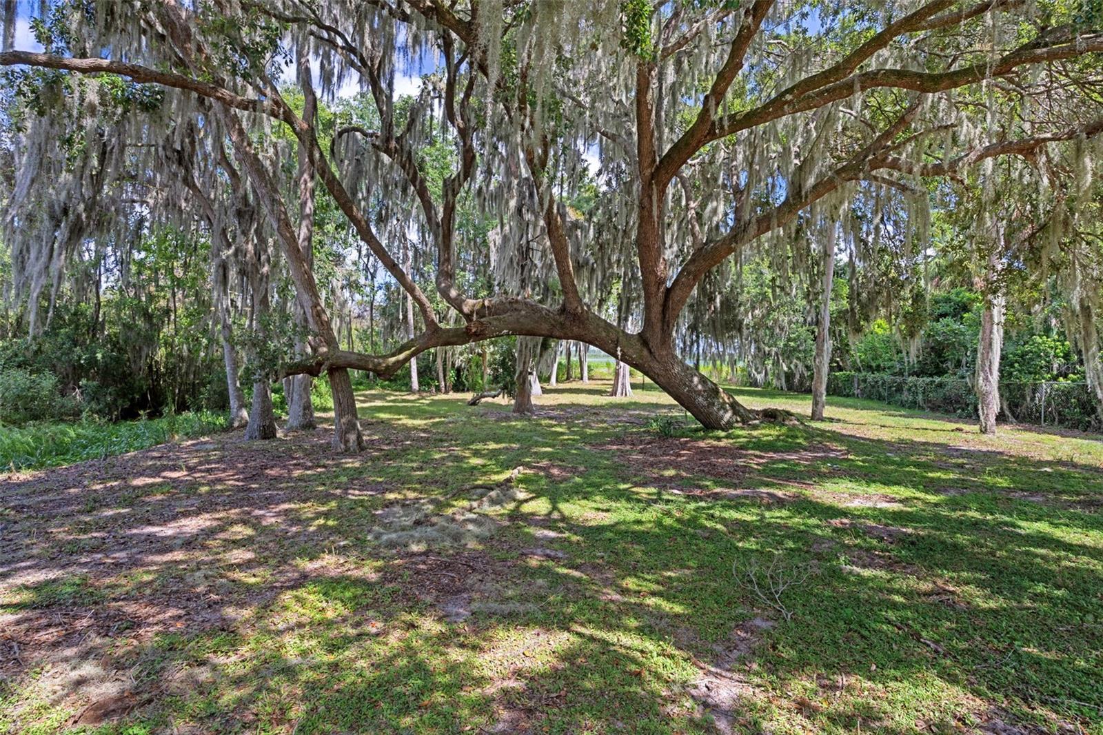 ACREAGE - Residential