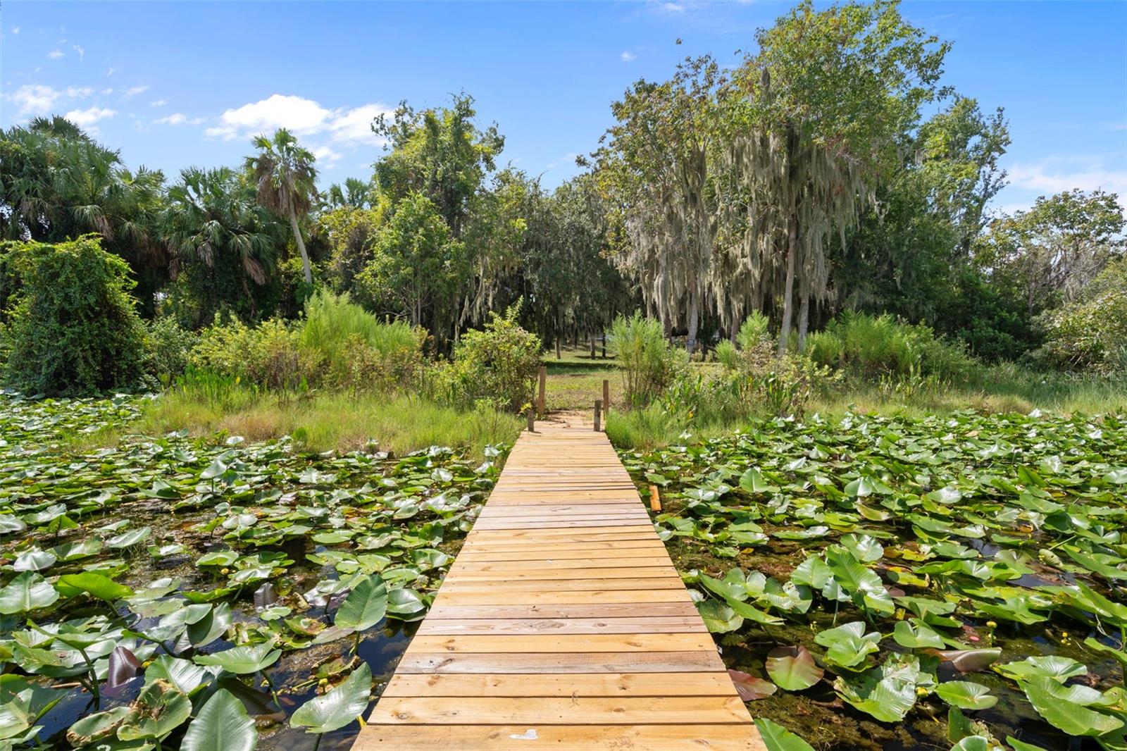 ACREAGE - Residential