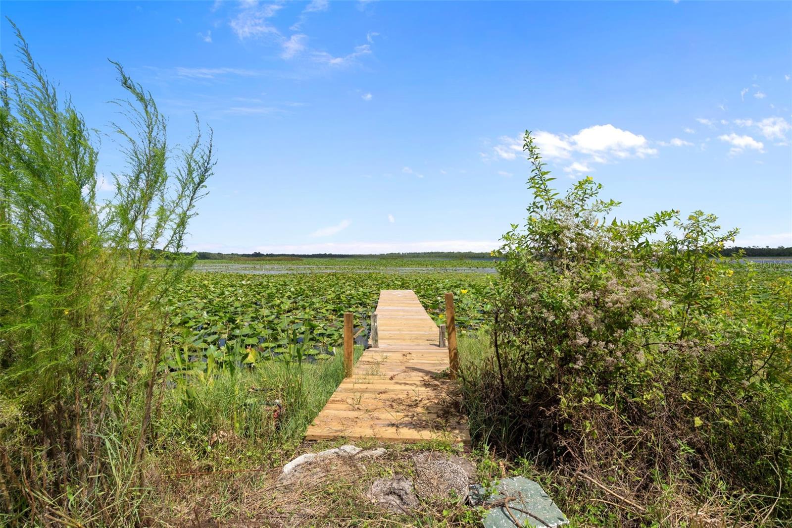 ACREAGE - Residential