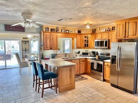 Tiny photo for 10288 W Twin River Lane, Homosassa, FL 34448 (MLS # TB8409509)