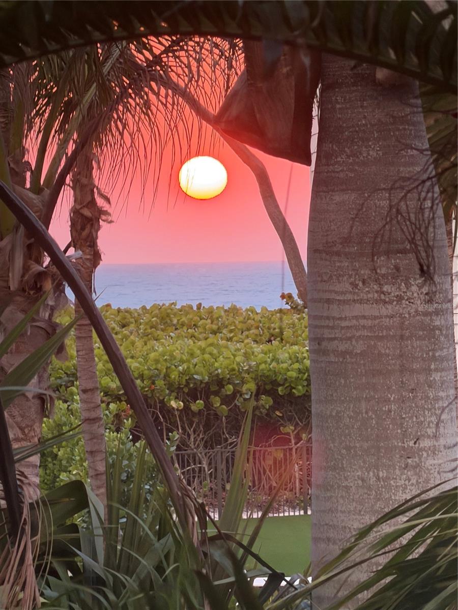 5005 GULF OF MEXICO DRIVE 4