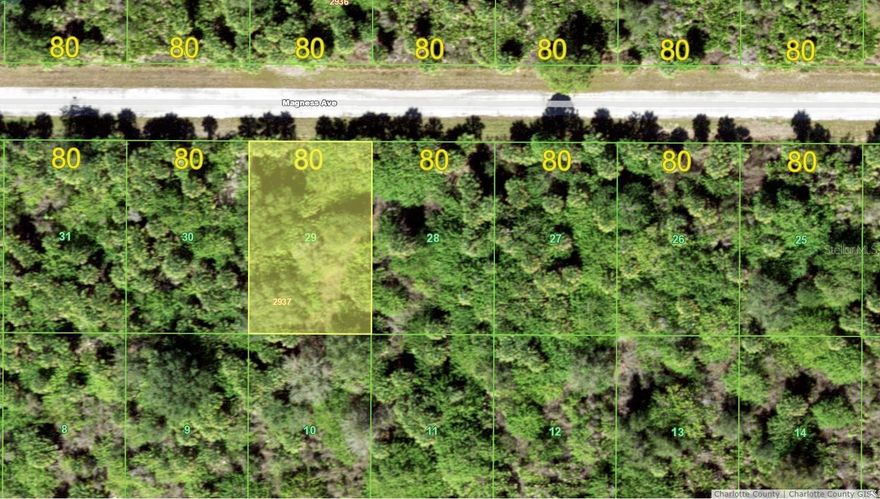 Nearly a quarter acre of sunny Northeast Port Charlotte conveniently located to shopping, dining, banking. No deed restrictions, HOAs or CDDs! New construction is everywhere you look and you can be part of the action. There are many beaches, fishing and boating less than a half hour away--Nokomis, Venice, Englewood-even Boca Grande! 15.2 MILES TO THE ENGLEWOOD BEACH!! Information about local builders is available upon request. Also great for self directed IRAs, 401Ks and other investment portfolios.