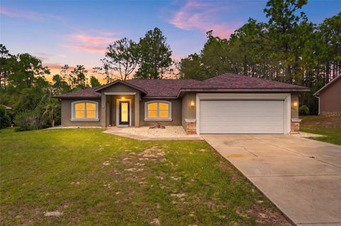 Photo of 3339 W Eldridge Drive, Citrus Springs, FL 34433 (MLS # W7884812)