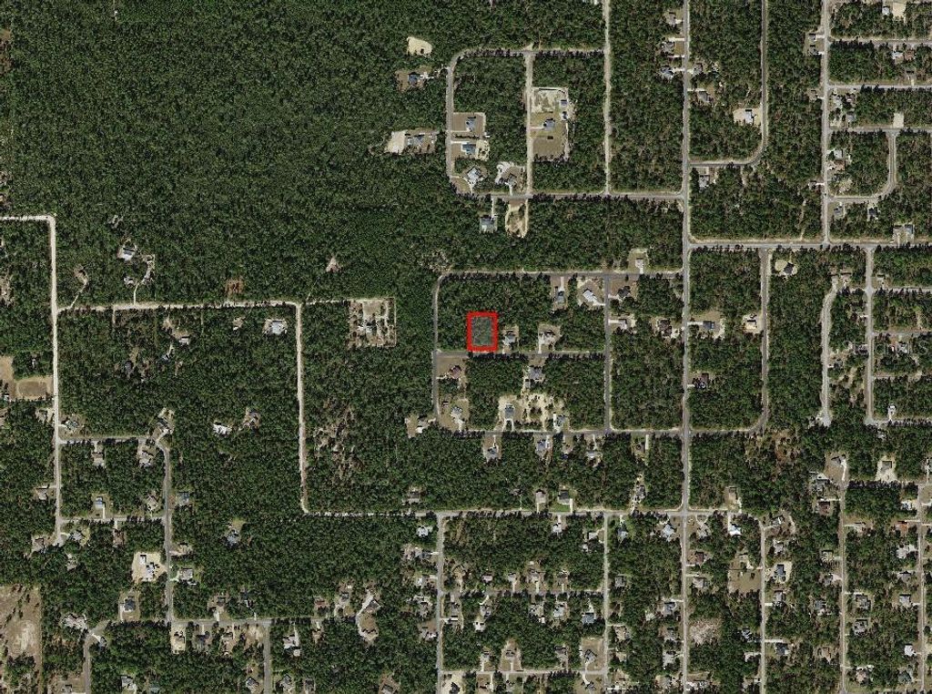 Photo of 4393 W Cameo Lane, Dunnellon, FL 34433 (MLS # A4681661)