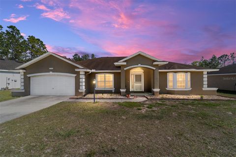 13361 SW 88TH TERRACE OCALA FL 34473
