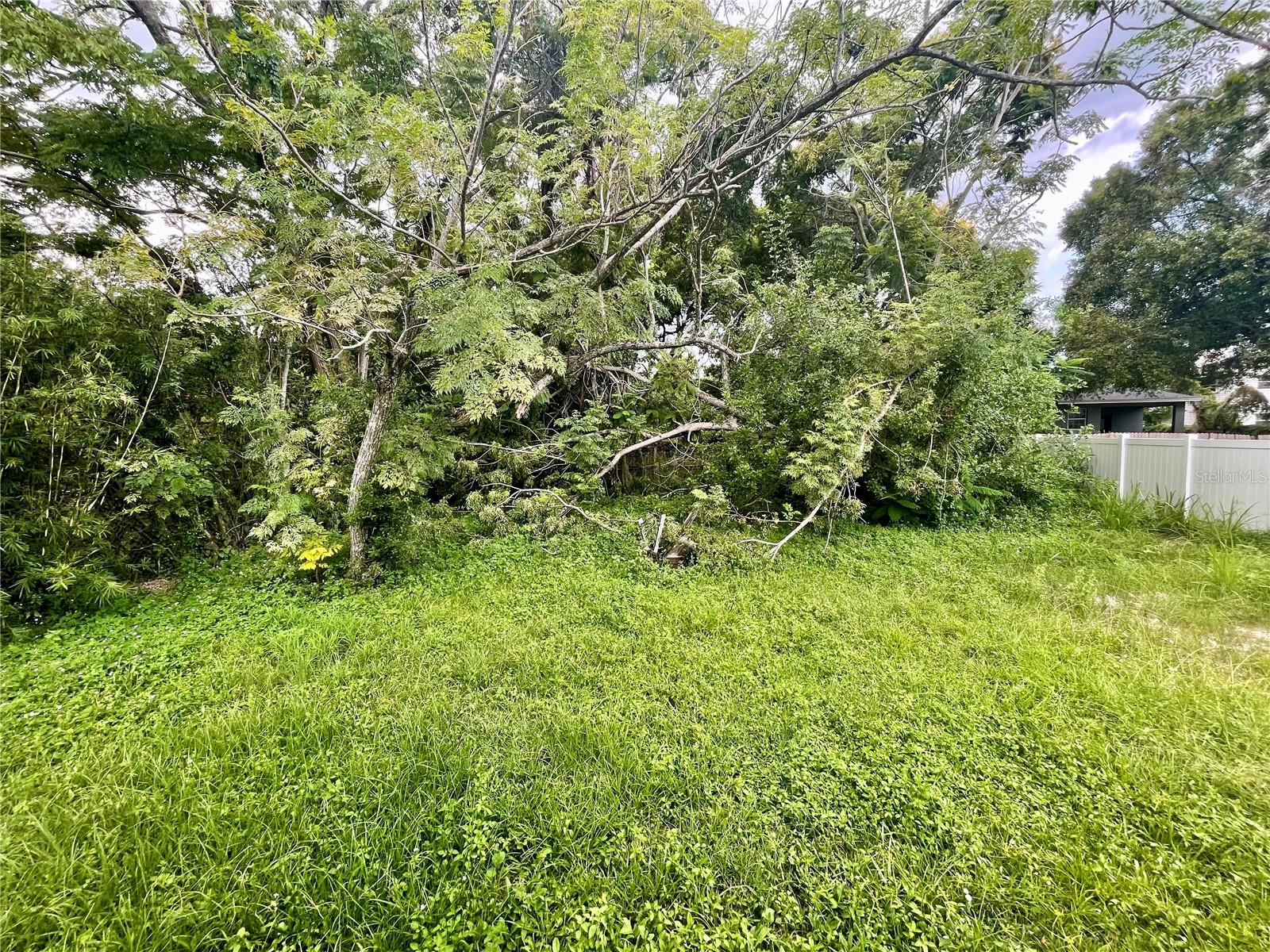 AUBURNDALE HEIGHTS - Residential
