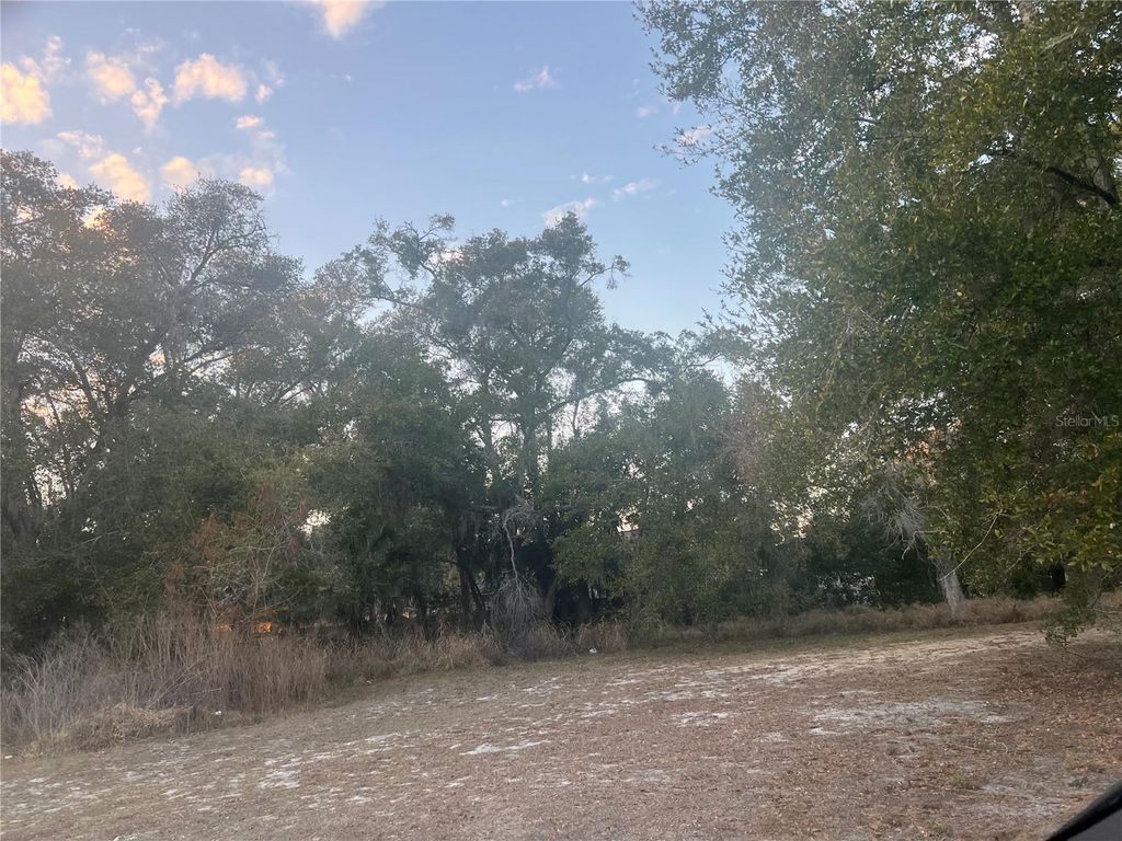 Photo of 522 Palmetto Street, Eustis, FL 32726 (MLS # G5108155)