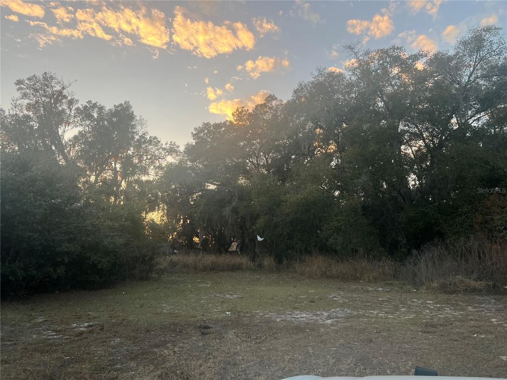 Photo of 522 Palmetto Street, Eustis, FL 32726 (MLS # G5108155)