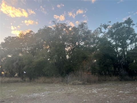 522 PALMETTO STREET EUSTIS FL 32726