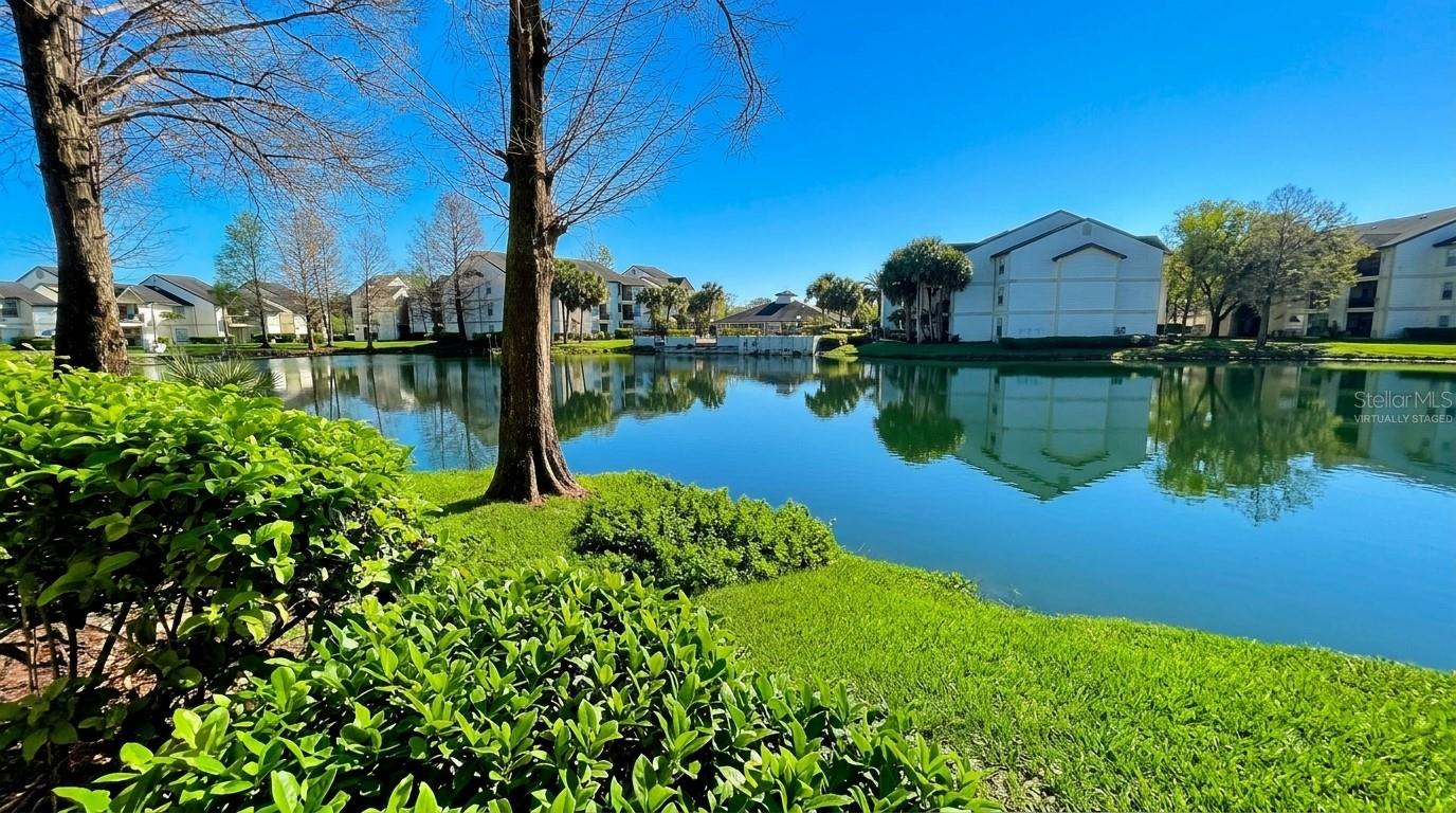 PLAZA/MILLENIUM - Residential