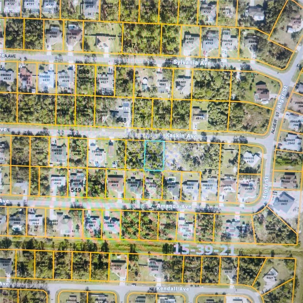 Photo of 966054925 Kaskin Avenue, North Port, FL 34286 (MLS # U8230249)