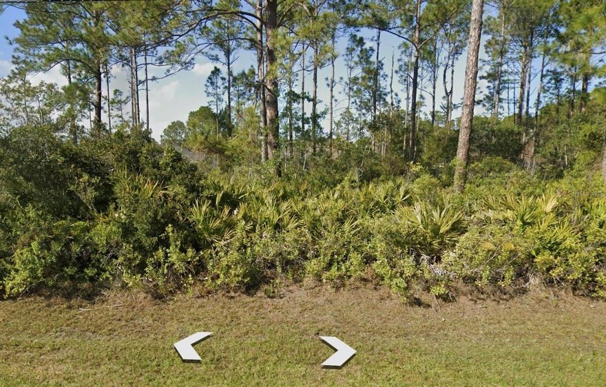 Build or invest but don’t miss out on the opportunity to own a piece of prime land zoned for duplex construction. This oversized lot provides endless possibilities in a thriving coastal community, including the option to build a duplex, a spacious estate home, or a multi-generational residence. Surrounded by new construction, this location is perfect for those seeking a peaceful yet convenient lifestyle. Just a short commute to Flagler Beach and the Atlantic Ocean, shopping, restaurants, medical facilities, and places of worship. Located within the award-winning Flagler County School District and offering easy access to both World-Famous Daytona Beach and Historic Downtown St. Augustine.