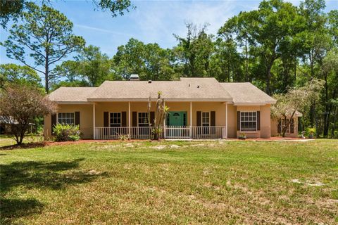 Photo of 16225 Bonzai Trail, Brooksville, FL 34613 (MLS # W7885195)