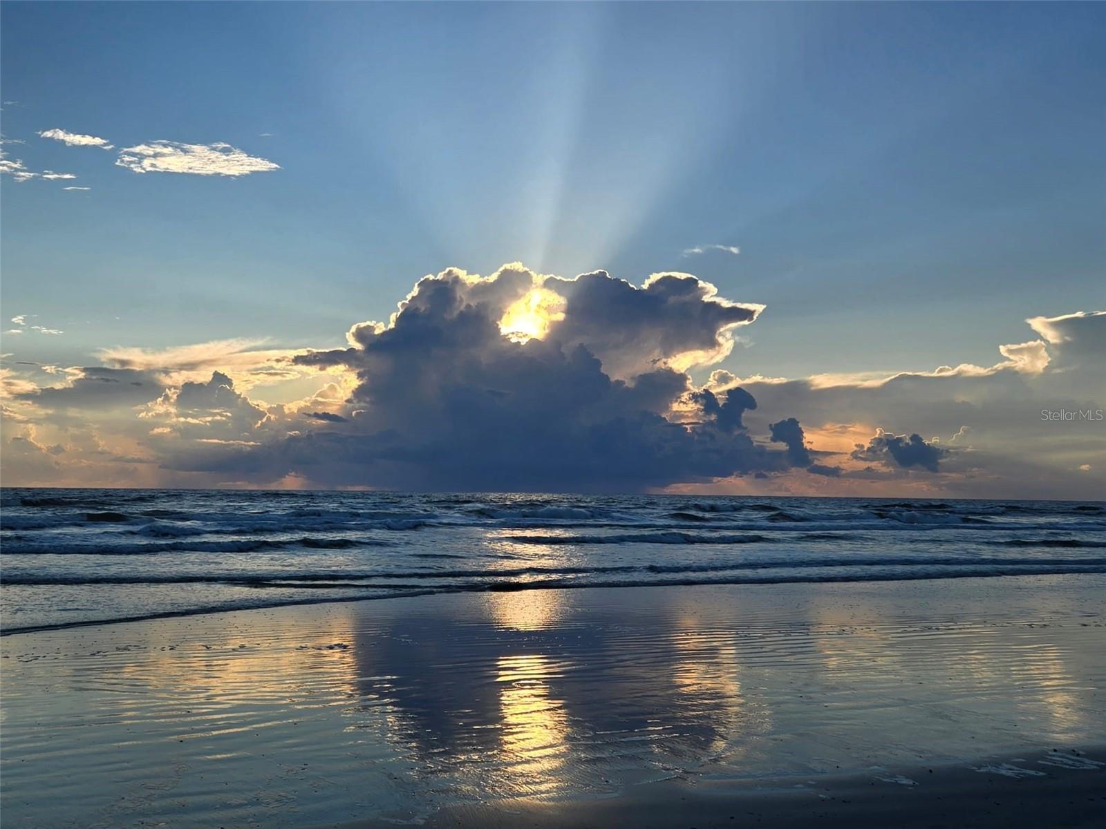 OCEAN TRILLIUM SOUTH - Residential