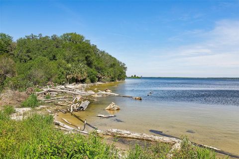Tiny photo for 18930 NE 143rd Avenue, Fort Mccoy, FL 32134 (MLS # O6407708)