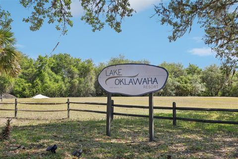 Tiny photo for 18930 NE 143rd Avenue, Fort Mccoy, FL 32134 (MLS # O6407708)