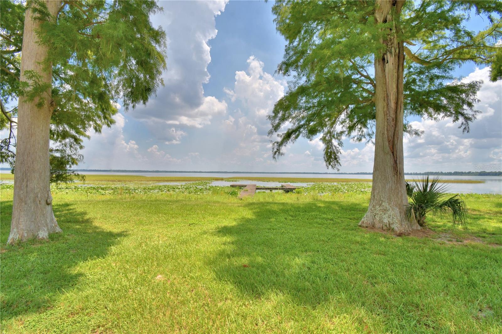 SECLUDED 3 ACRE LAKEFRONT PROPERTY WITH 3 HOMES!!! This is a RARE opportunity to own 3+ acres of Old Florida LAKEFRONT PROPERTY that has CANALS on two sides of the property and 160+ feet of SHORELINE on LAKE PIERCE. There are 3 SEPARATE HOUSES, nestled among the mature Cypress trees that are perfect for MULTI-GENERALTIONAL living with Mother-in-law quarters OR a great RECREATIONAL RETREAT for entertaining, fishing, boating, easy float plane access, air boating or just watching the abundant wildlife. It could also have great FISH CAMP or AIR BnB capabilities. There is plenty of room to bring your toys! MAIN HOUSE: It is a 3 BR/2 BA with a 12'X14' Screened Porch that is a great place to watch gorgeous sunrises. The spacious Living Room and Dining Room have beautiful lake views. The Dining Room also has access to the Screened Porch through sliding doors. The bright and well-designed Kitchen has lovely wood cabinets, including a pantry cabinet, a built-in desk, Corian countertops and stainless appliances. Primary Bedroom has a pool view and an ensuite Bath with a tile shower and a single vanity. Second Bedroom has lake and pool views as well as double closets. Across the hall, a full bath has a tub/shower combination with a single vanity. Third Bedroom has a view of the Canal Cottage. Laundry Room has washer/dryer area, folding area, abundant storage and exterior door for easy access to the Backyard and Canal Cottage. FRONT COTTAGE: Located near the entrance to the property and close to the Fenced Pasture/Dog Run. It has an open floor plan with 2 BR/2 BA, a full Kitchen, Laundry Room and Chalet Suzanne-style showers in both Bathrooms. CANAL COTTAGE: Located on the North side of property overlooking a canal. It has a full Kitchen, Living Room, Bedroom and Bath with tile walk-in shower. It also has a Laundry Room off of the Screened Porch that overlooks the lake. The Old Florida style SWIMMING POOL is centrally located in the middle of the property overlooking the lake and is fenced in. Pool structure is sound but, some components may need attention. The ARTESIAN WELL has the best tasting water. There is a wooden FISHING PIER/DOCK that is a great spot for fishing, birdwatching or star gazing. If you have livestock for pets or like to garden, the FENCED PASTURE will be much appreciated. A DOG RUN with KENNEL will keep your family canine happy and content. LAKE PIERCE is 3,728 acres, in the heart of Central Florida where anglers love fishing for Large Mouth Bass, Bluegill and Crappie. This private and secluded property is just a short distance to dining at Cherry Pocket, shopping in Lake Wales or Winter Haven. as well as to local attractions Bok Tower, West Gate River Ranch Resort and Water Park and Lego Land. CALL TODAY! This property won't last long!