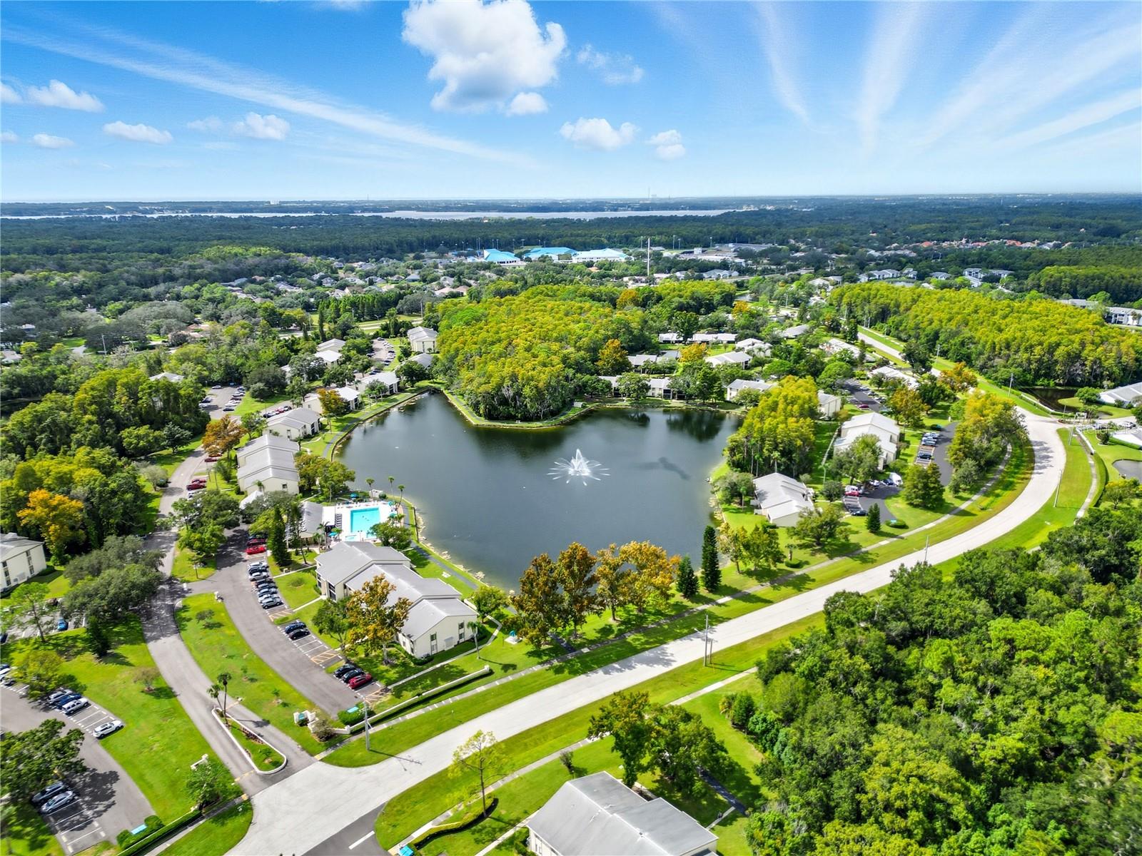 PINE RIDGE AT LAKE TARPON VILLAGE - Residential