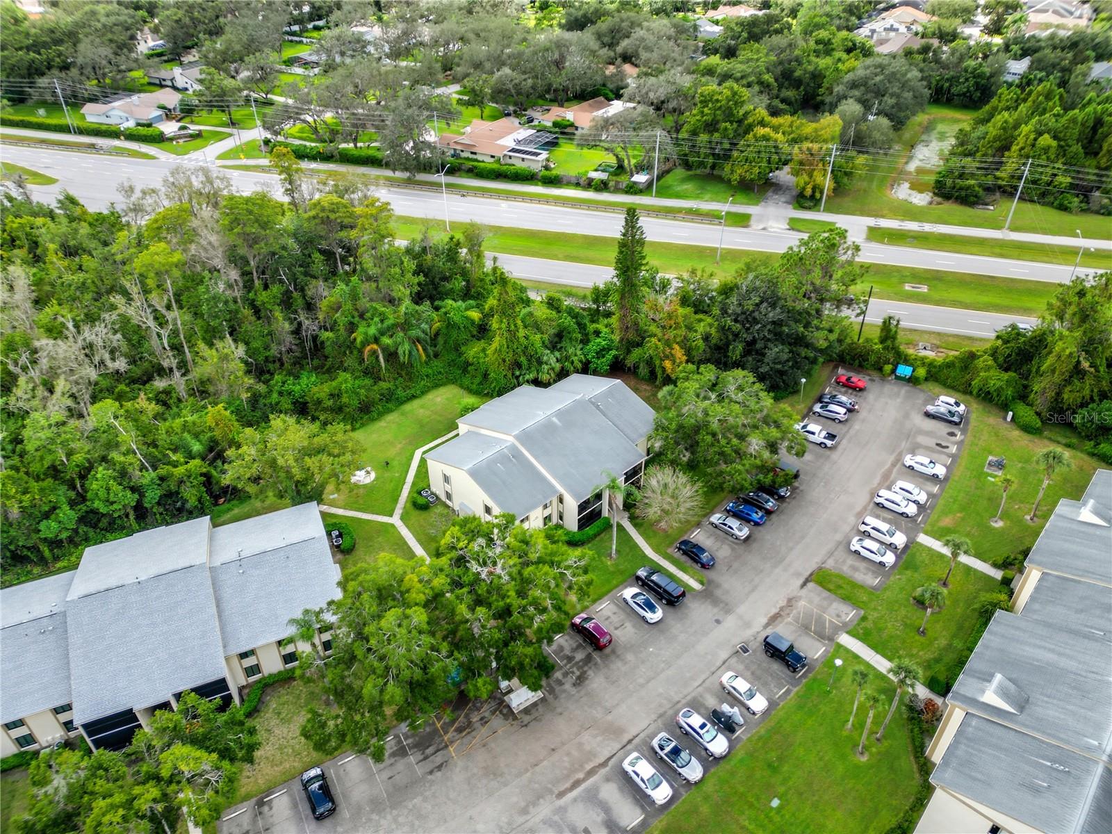 PINE RIDGE AT LAKE TARPON VILLAGE - Residential