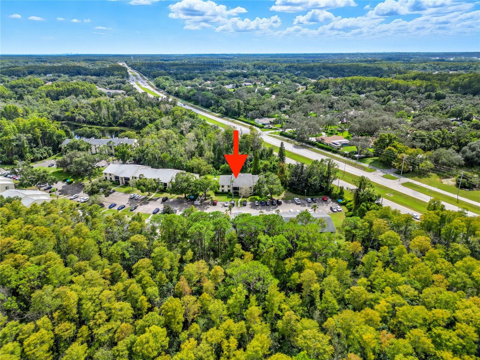 PINE RIDGE AT LAKE TARPON VILLAGE - Residential