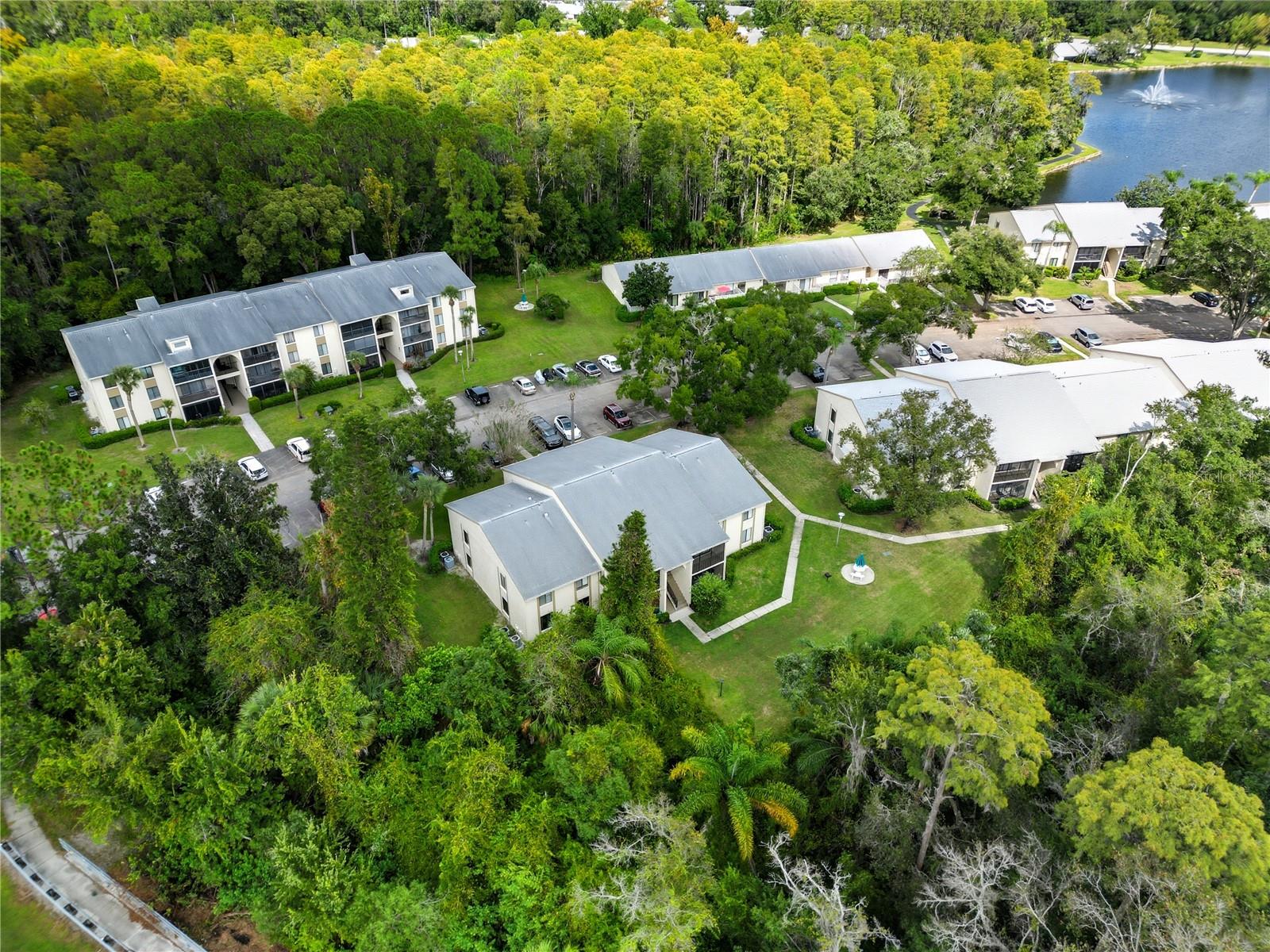 PINE RIDGE AT LAKE TARPON VILLAGE - Residential