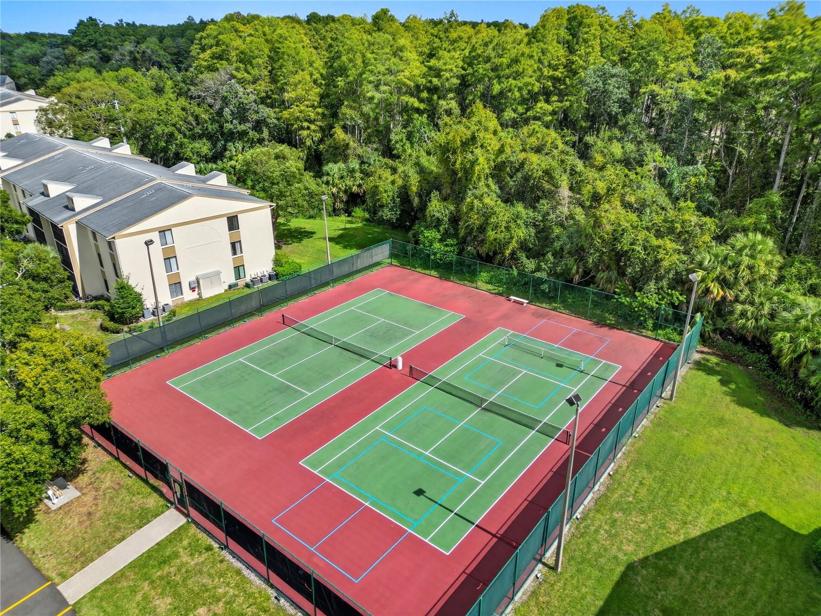 PINE RIDGE AT LAKE TARPON VILLAGE - Residential