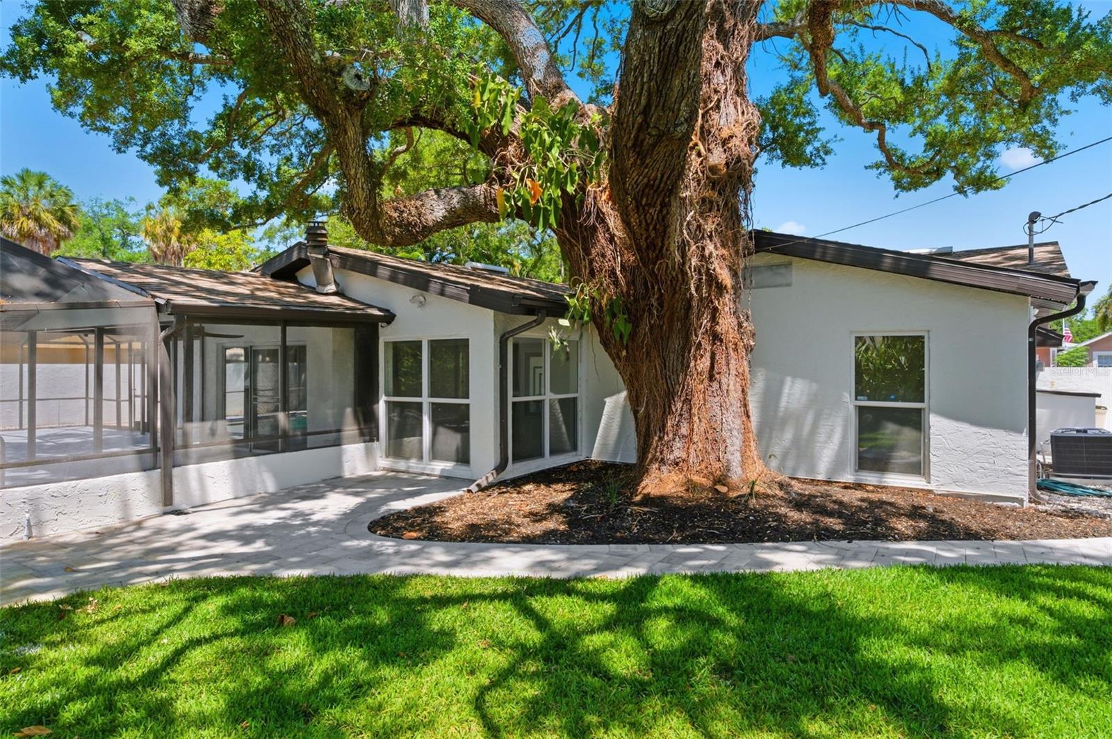 PARQUE NARVAEZ - Residential