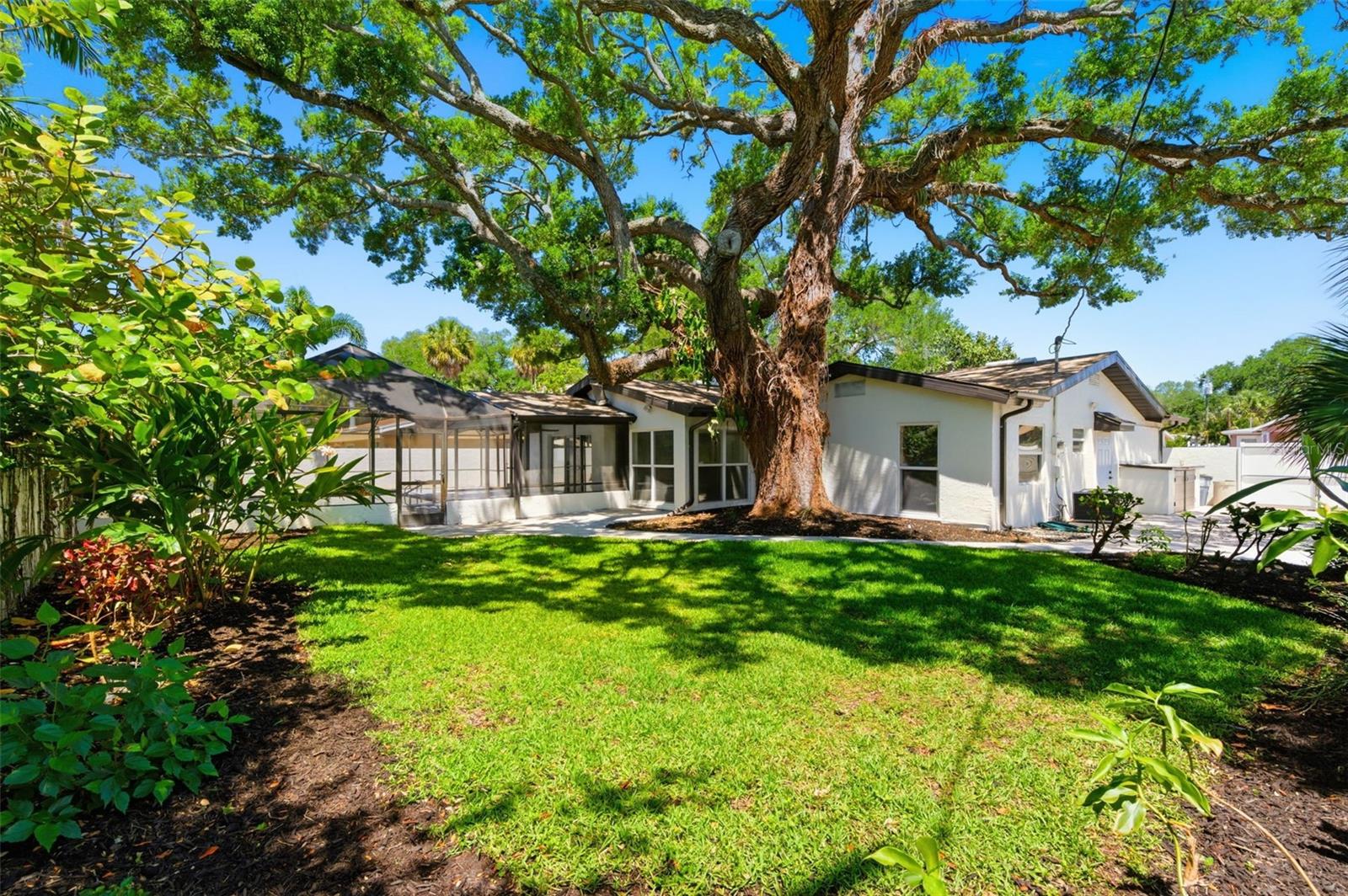 PARQUE NARVAEZ - Residential