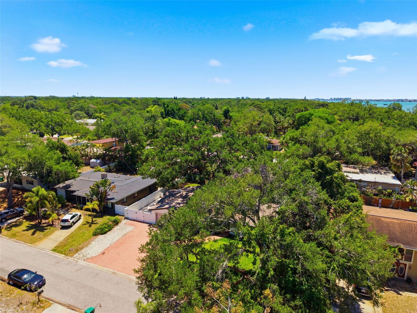 PARQUE NARVAEZ - Residential