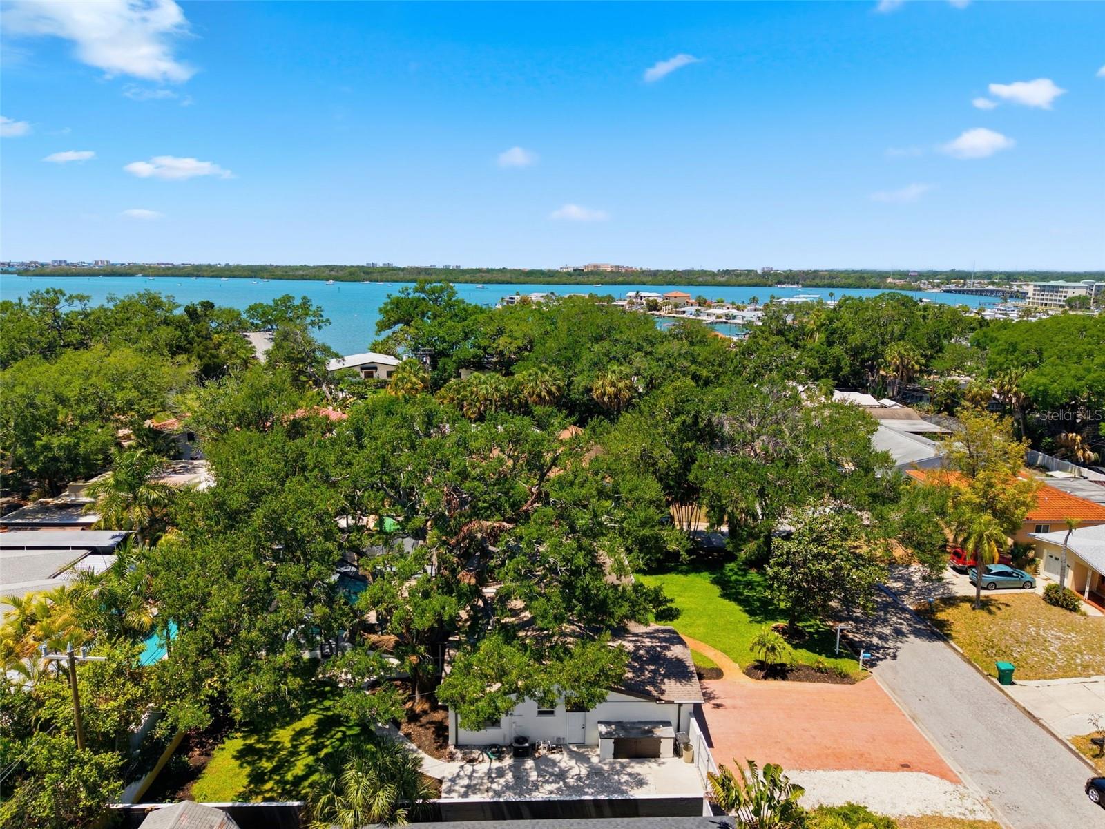 PARQUE NARVAEZ - Residential