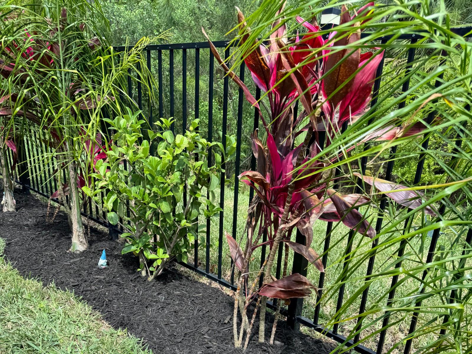 GABLES/TOWN CENTER - Residential