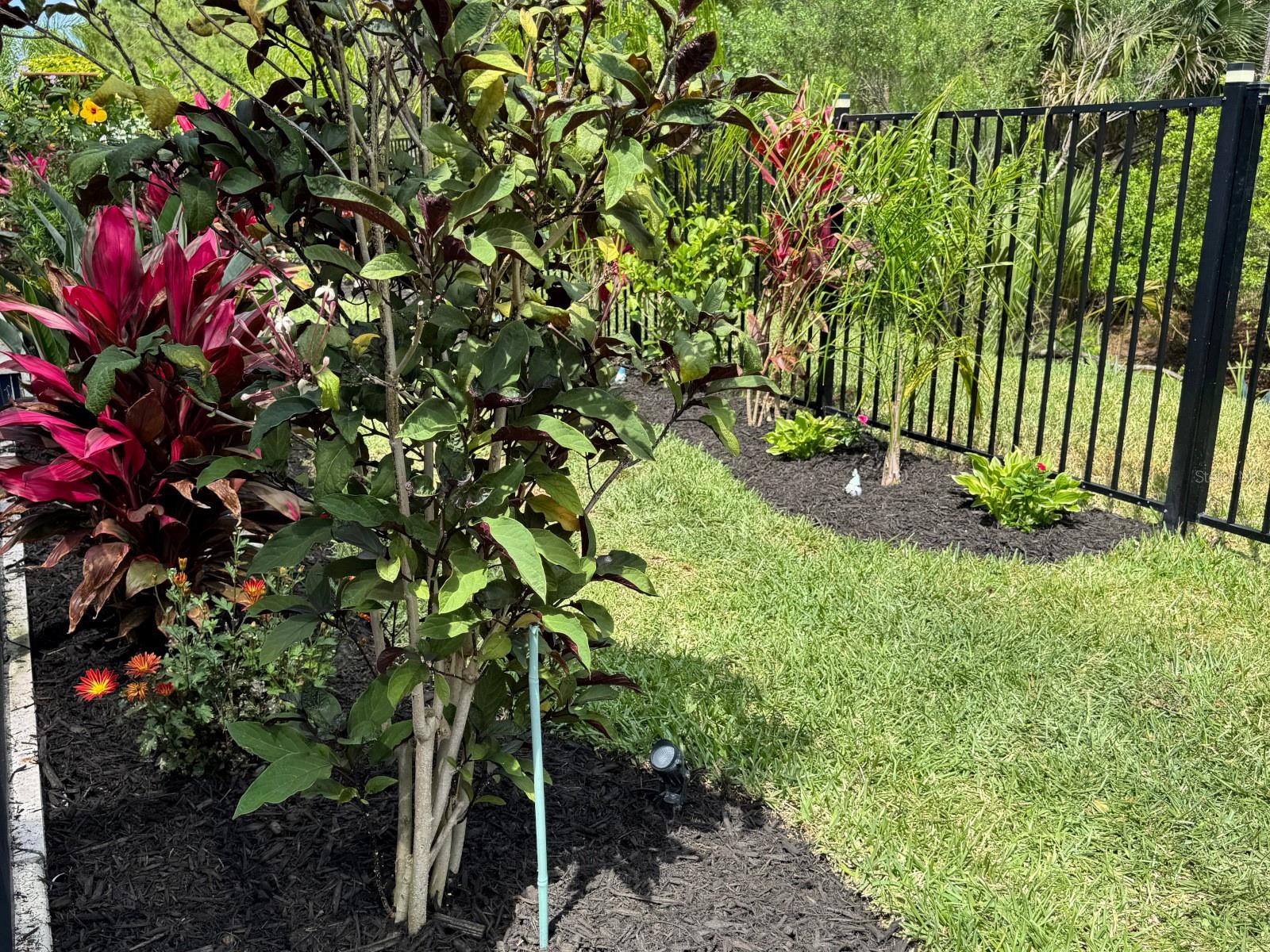 GABLES/TOWN CENTER - Residential