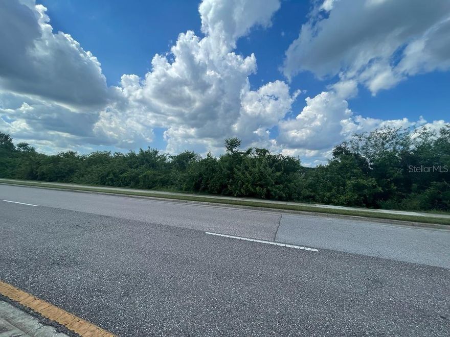 Located on Lake Floyd between Dr. Phillip Blvd and Apopka Vineland Road! No HOA. This prime real estate property is in the epicenter right next to both Windermere and Doctor Phillips. The land is located very close to several tourist filled areas such as International Drive, Millenia Mall, Premier Outlets. The Chain of Lakes middle school is only a five minute drive alongside Olympia High School. Groceries, Banks and shopping with in few minutes away. It's also very close to the Lakes of Windermere such as Lake Down and Lake Bessie. Buyer is responsible for due diligence upon purchase.