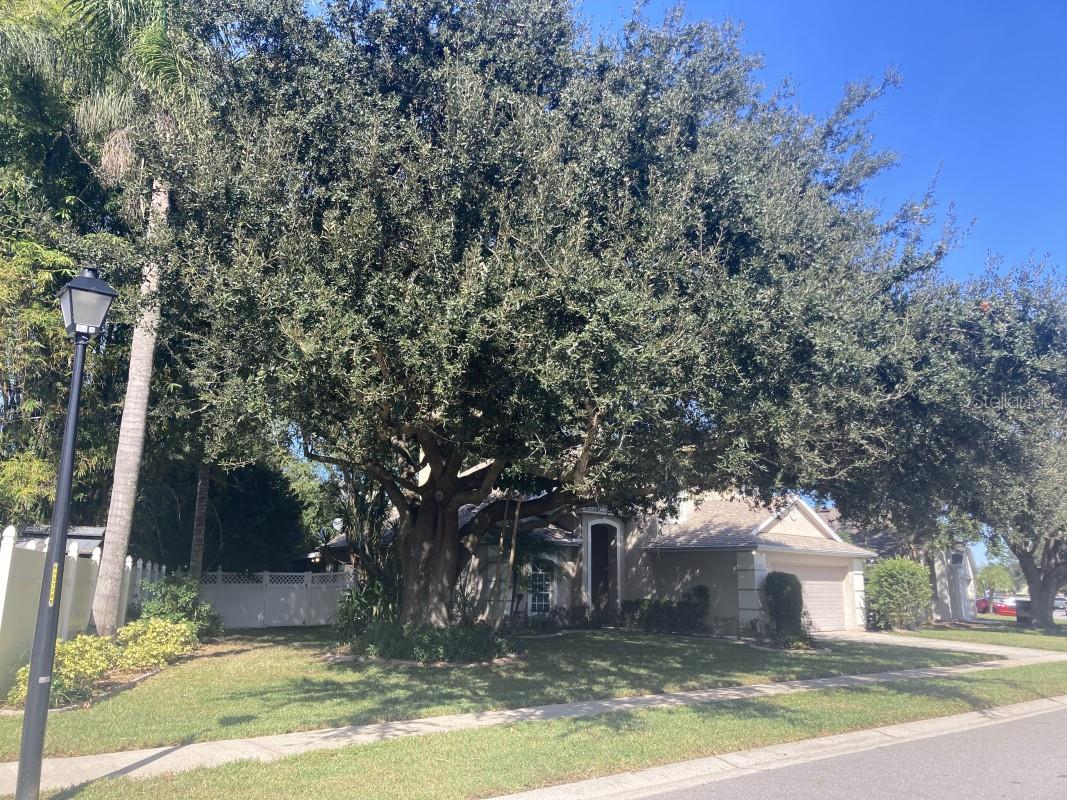 HUCKLEBERRY FIELDS TR N6 - Residential