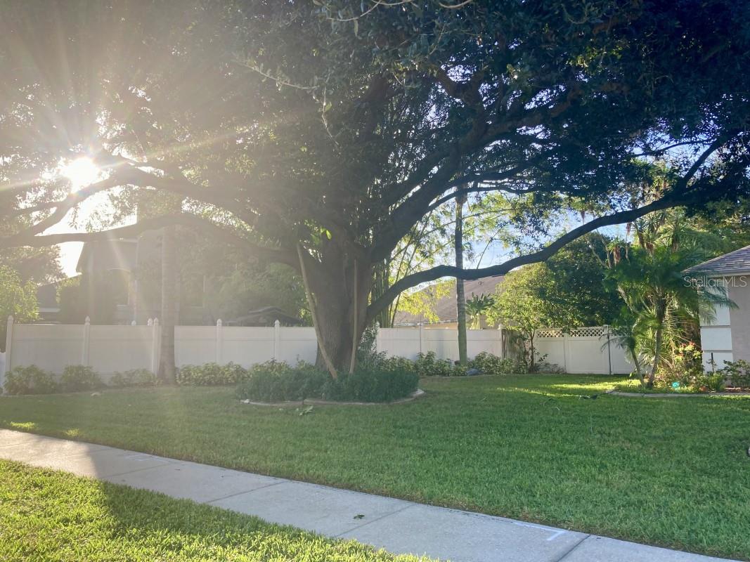 HUCKLEBERRY FIELDS TR N6 - Residential