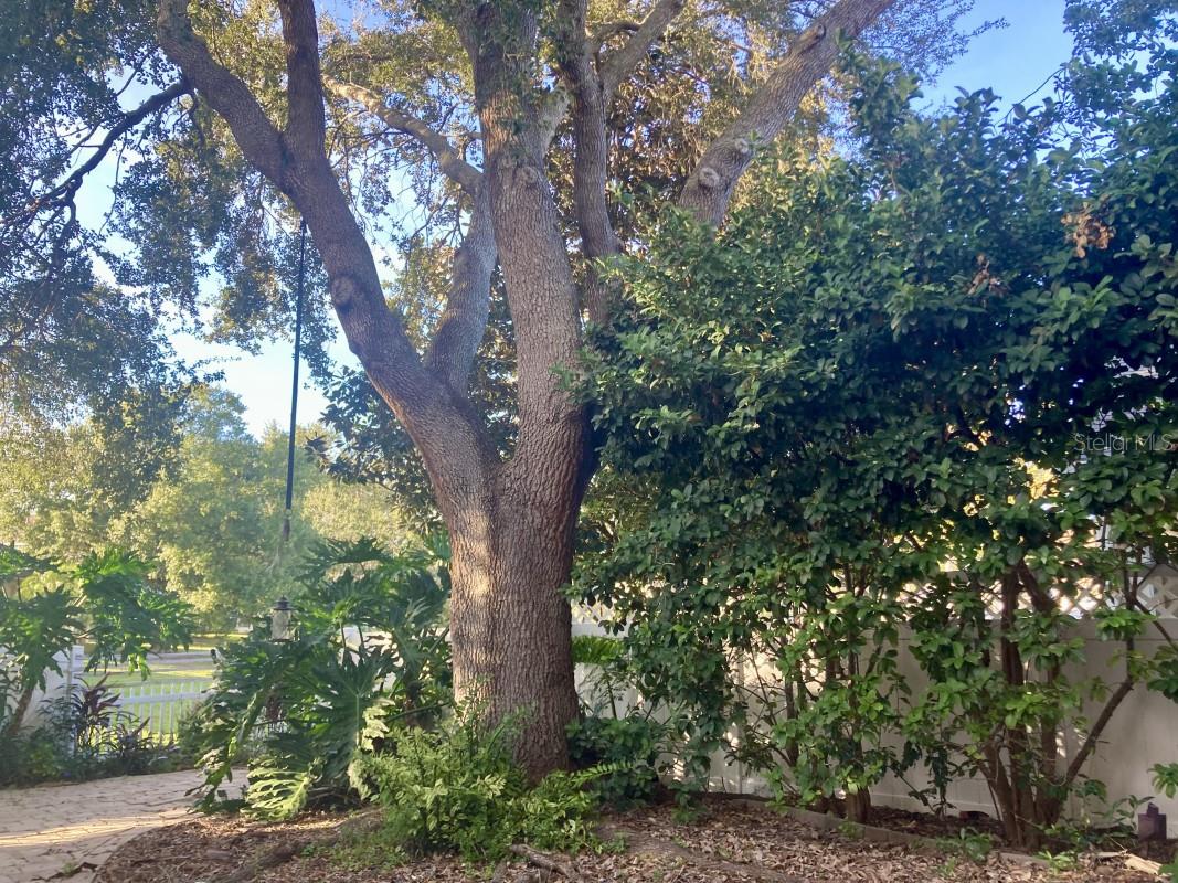 HUCKLEBERRY FIELDS TR N6 - Residential