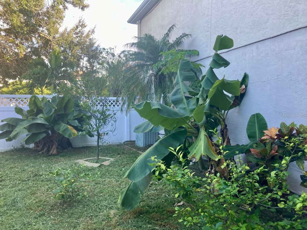 HUCKLEBERRY FIELDS TR N6 - Residential