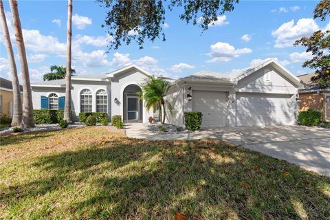 A home in RIVERVIEW