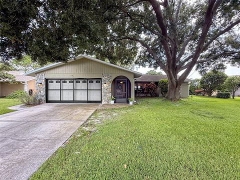 Photo of 3711 Erin Brook Dr, New Port Richey, FL 34655 (MLS # O6414316)