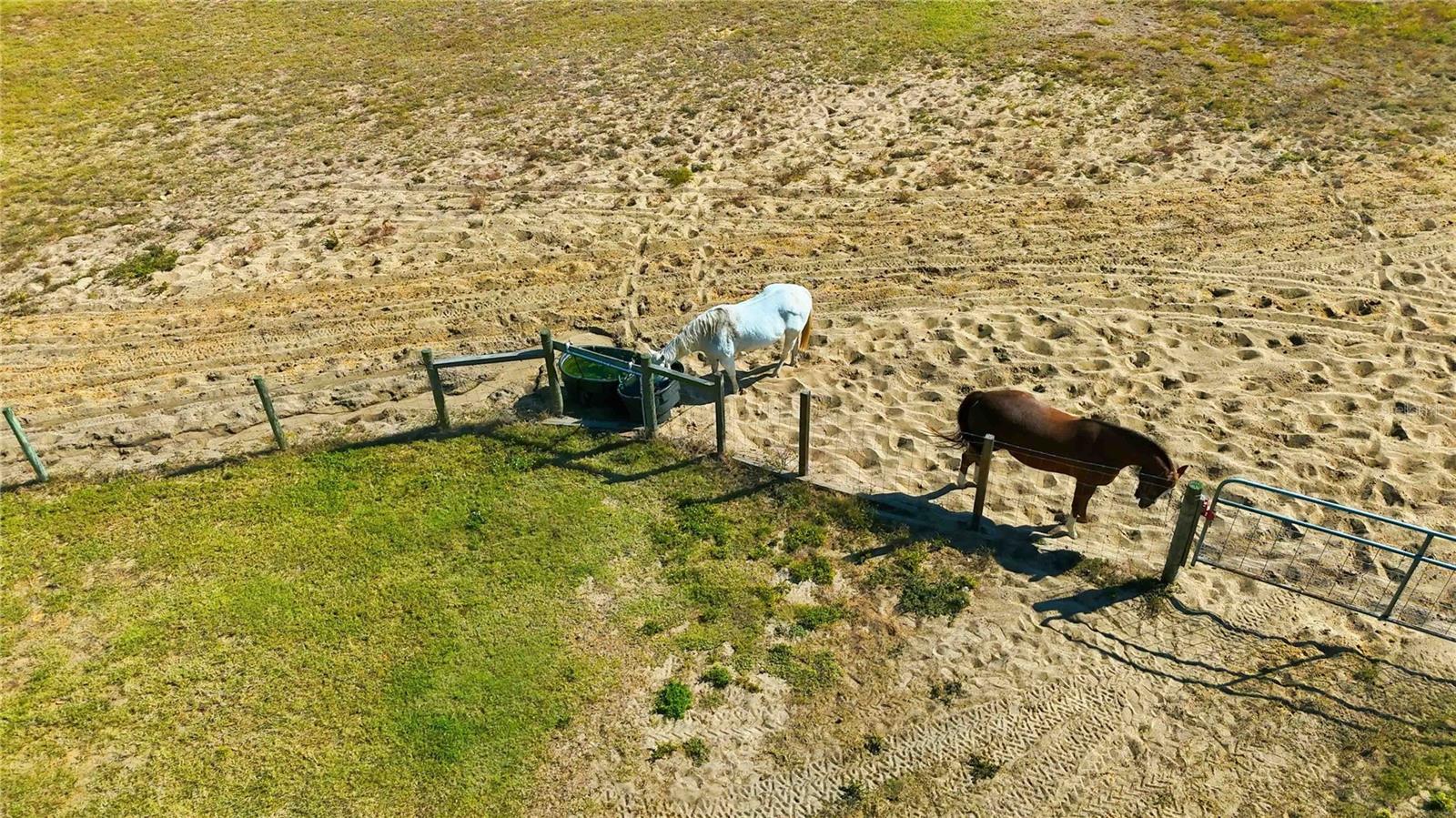 ACREAGE - Residential