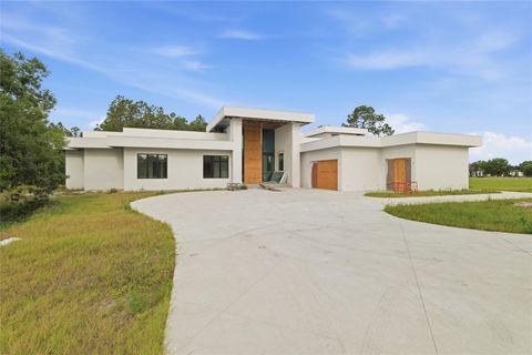 Photo of 12505 Stonelake Ranch Boulevard, Thonotosassa, FL 33592 (MLS # TB8501189)
