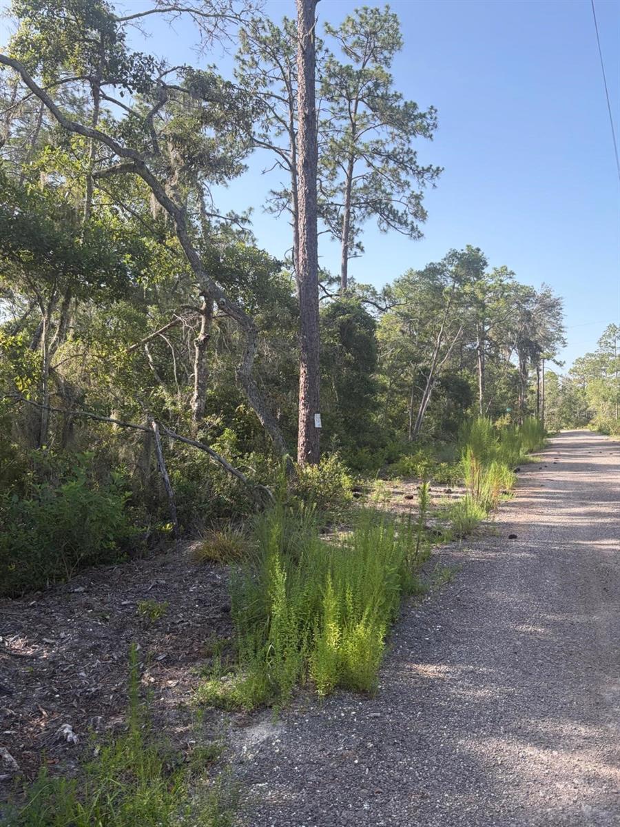 Photo of 0 Shyla Road, Brooksville, FL 34604 (MLS # TB8542926)