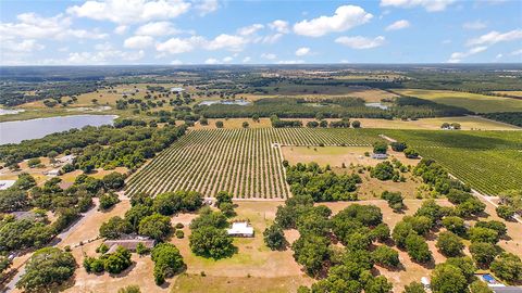 Tiny photo for 7351 Number Two Road, Howey In The Hills, FL 34737 (MLS # G5082071)